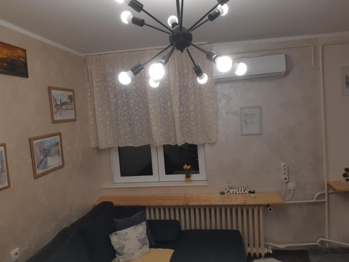 נובי סאד Sweet Home Danube Liman Apartment מראה חיצוני תמונה