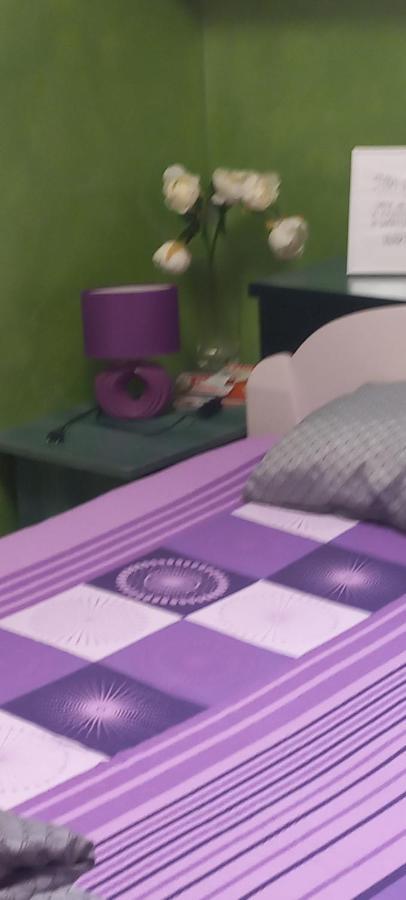 נובי סאד Sweet Home Danube Liman Apartment מראה חיצוני תמונה