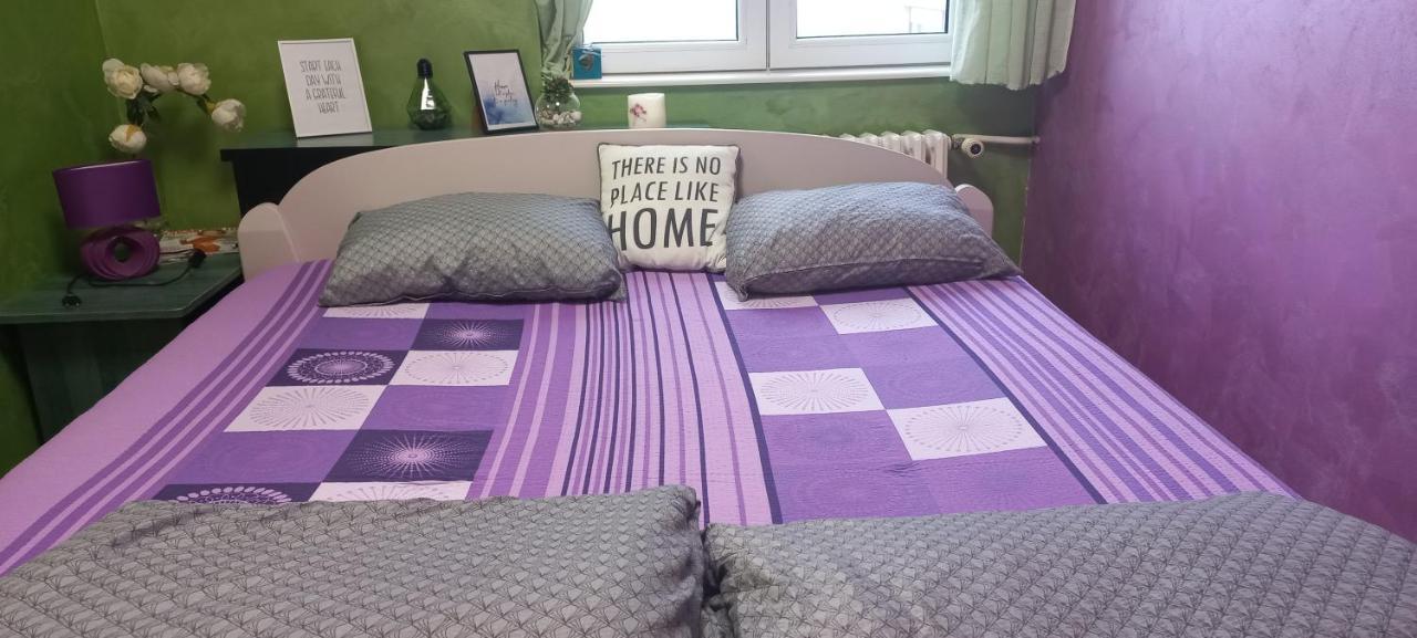 נובי סאד Sweet Home Danube Liman Apartment מראה חיצוני תמונה