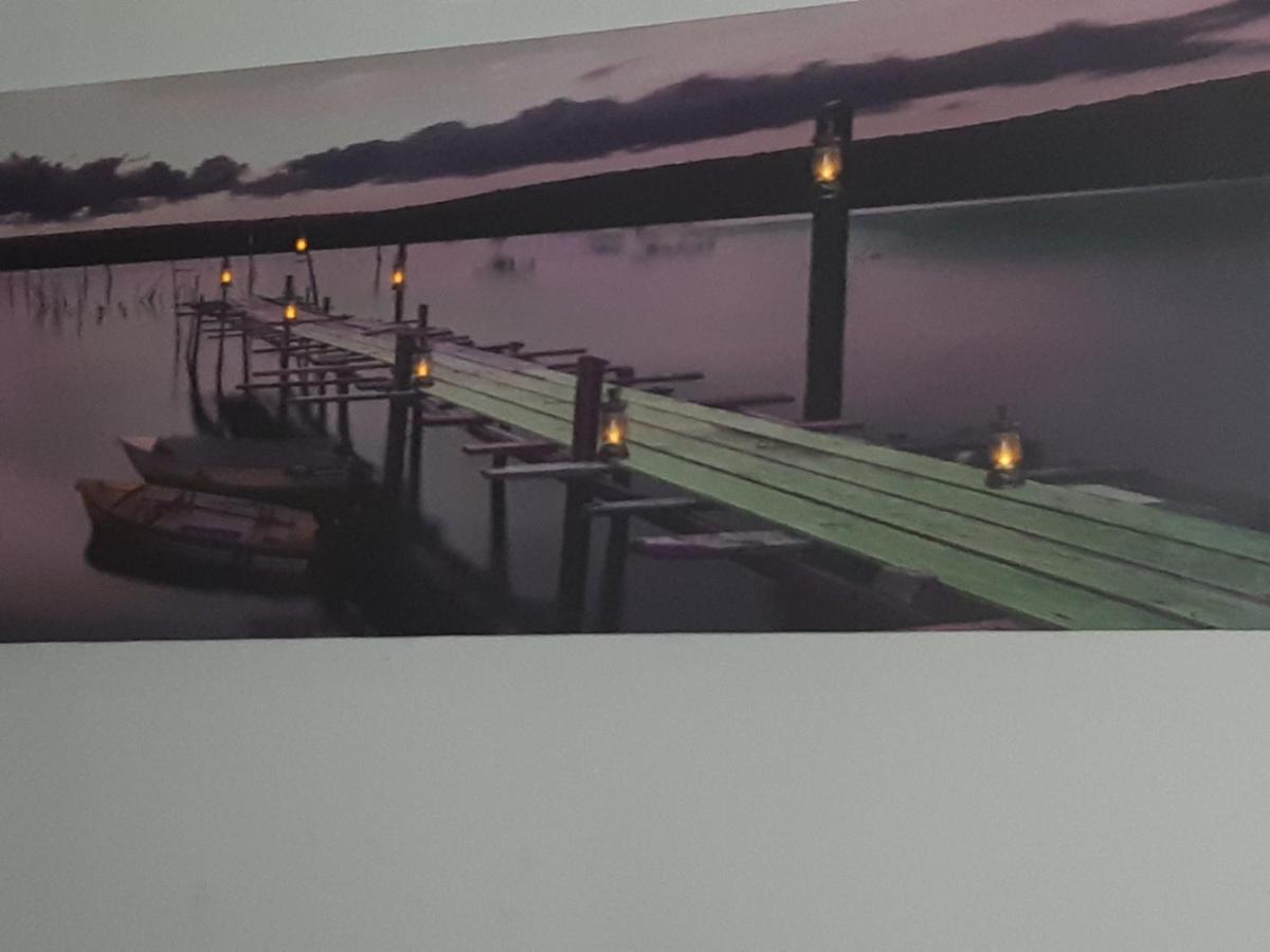 נובי סאד Sweet Home Danube Liman Apartment מראה חיצוני תמונה