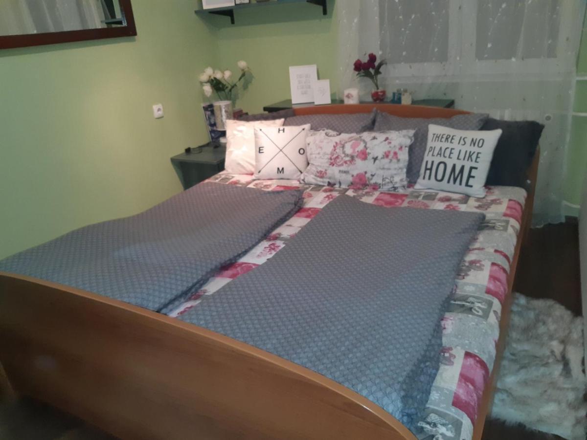נובי סאד Sweet Home Danube Liman Apartment מראה חיצוני תמונה