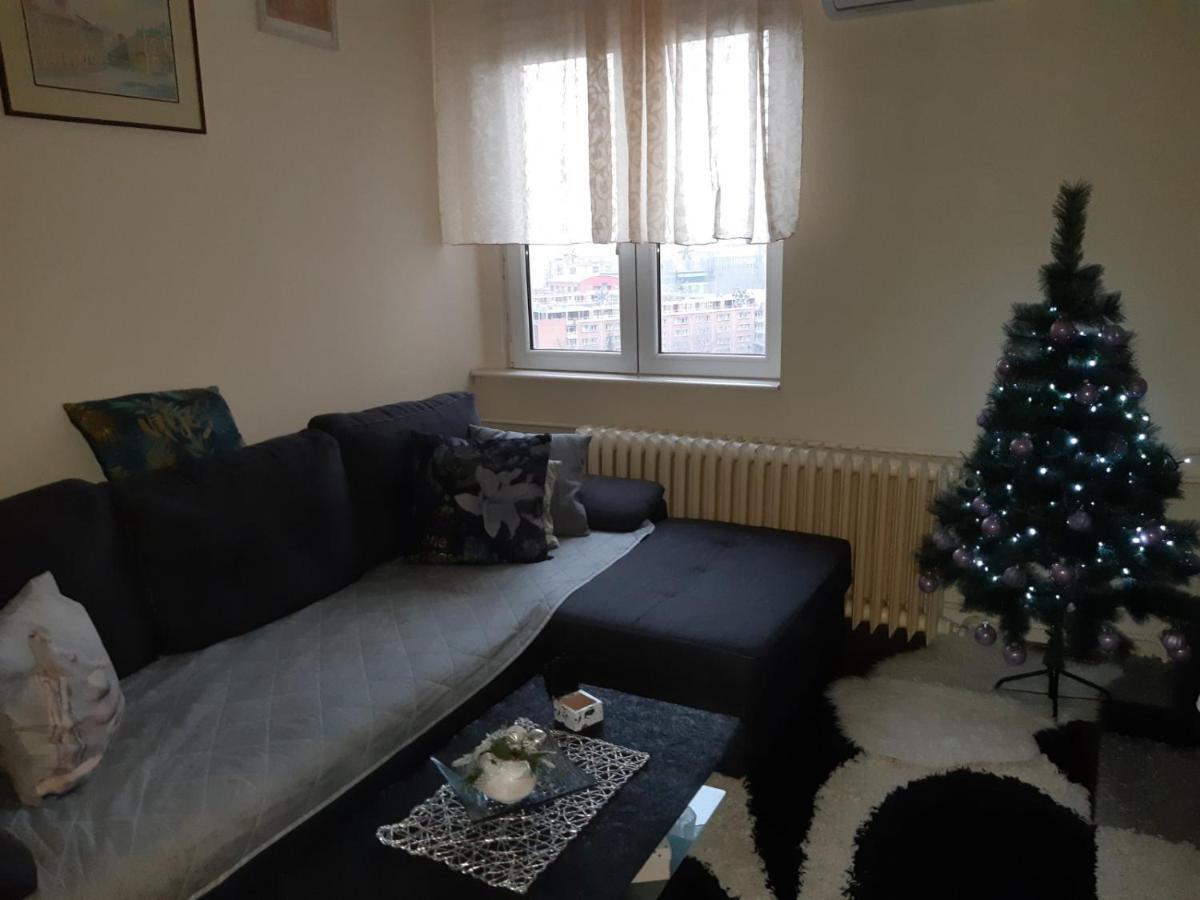 נובי סאד Sweet Home Danube Liman Apartment מראה חיצוני תמונה