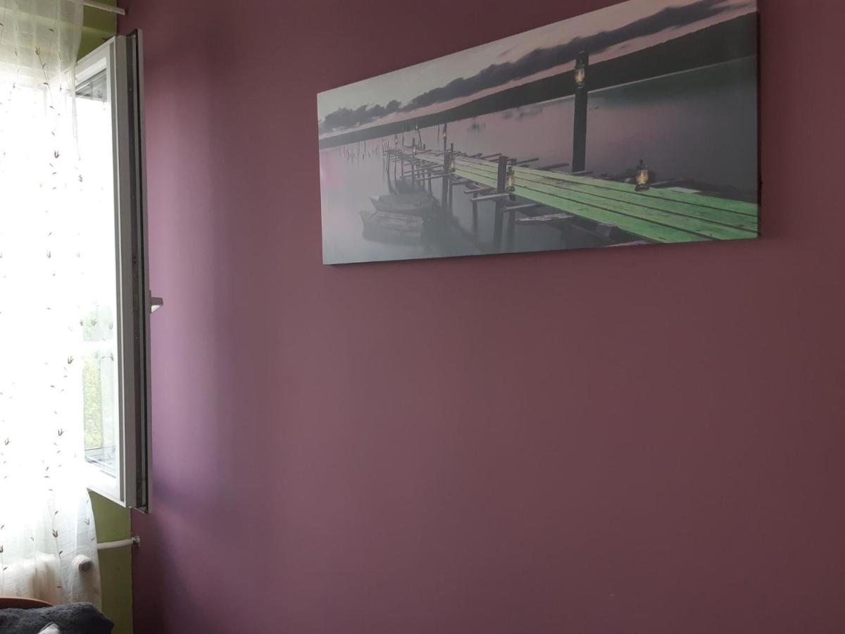 נובי סאד Sweet Home Danube Liman Apartment מראה חיצוני תמונה