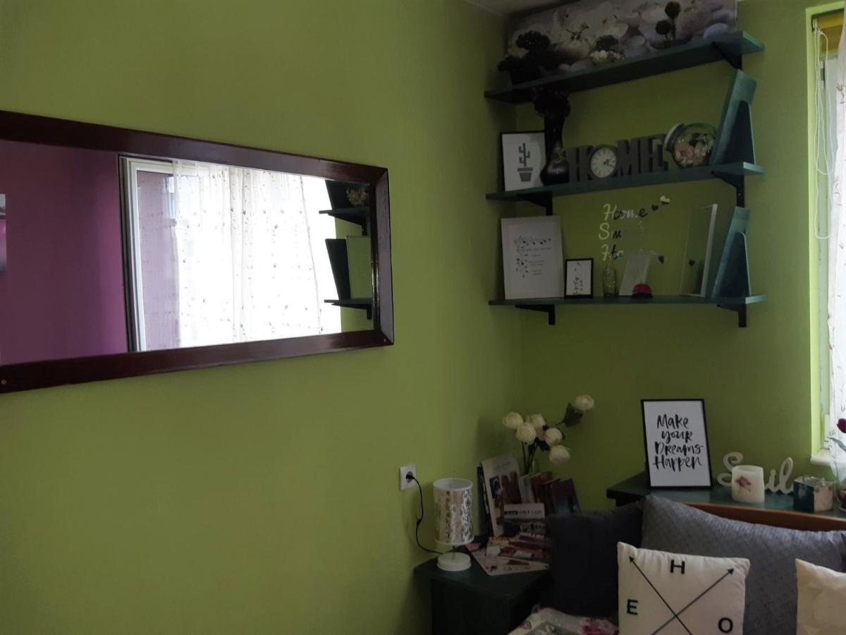 נובי סאד Sweet Home Danube Liman Apartment מראה חיצוני תמונה